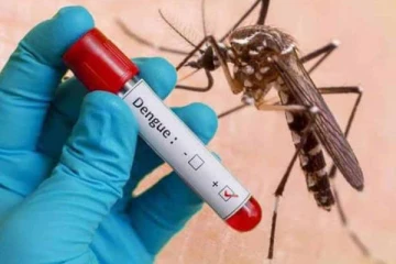 யாழில் டெங்கு நுளம்பு பரவும் அபாயம் ; பொதுமக்களுக்கு விடுக்கப்பட்டுள்ள எச்சரிக்கை