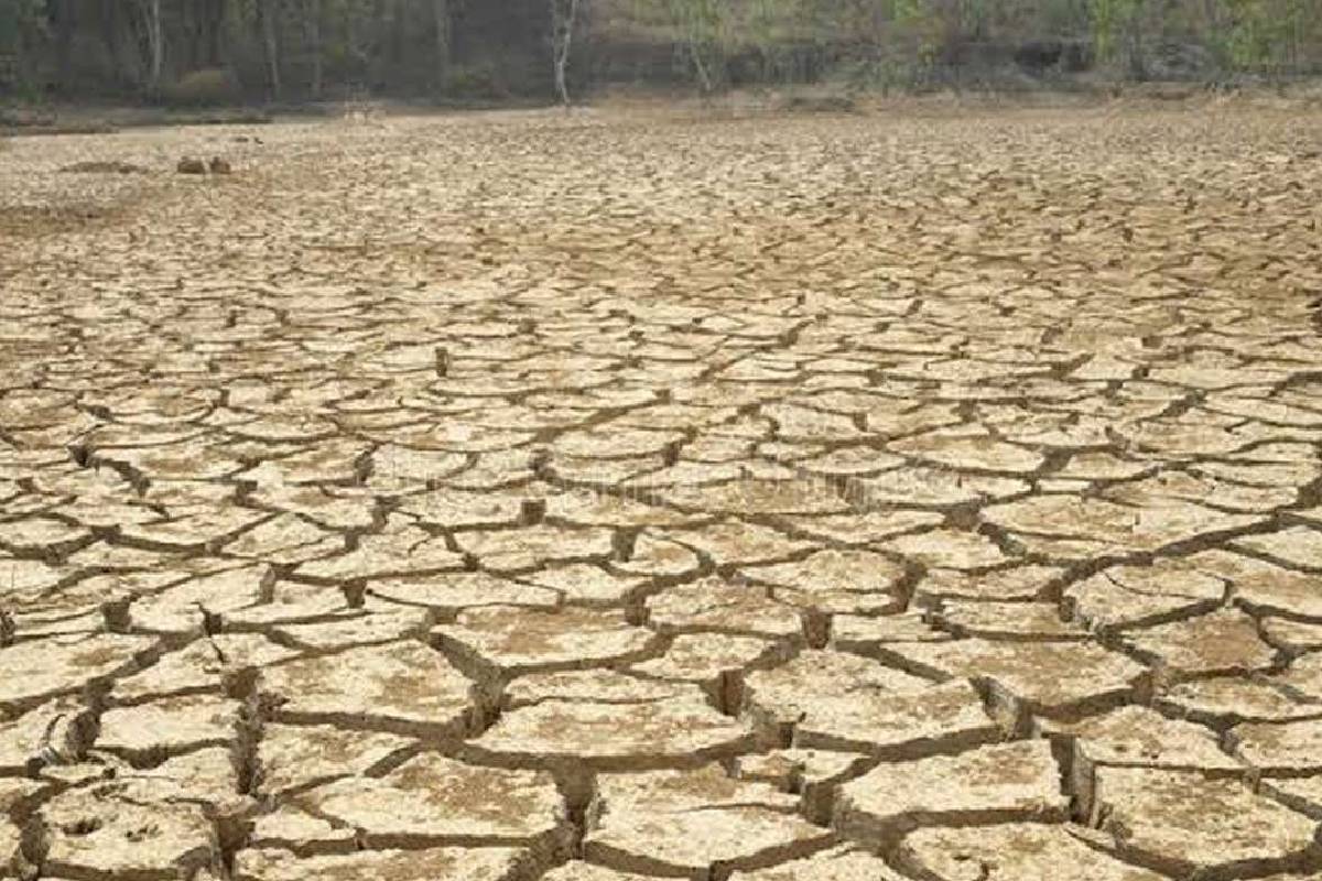 பல இடங்களில் அதிகரித்த வெப்பநிலை: மக்களுக்கு வெளியான அறிவிப்பு | Hot Weather Warning Sri Lanka பல இடங்களில் அதிகரித்த வெப்பநிலை: மக்களுக்கு வெளியான அறிவிப்பு | Hot Weather Warning Sri Lanka