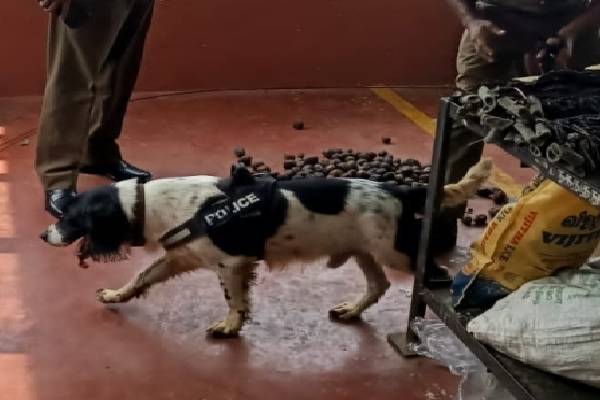யாழின் முக்கிய பிரதேசமொன்றில் பொலிஸார் அதிரடி !(Photos) | Drug Use Important Area