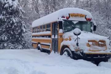 டொரோண்டோவில் கடும் பனிப்பொழிவு; பேருந்து சேவைகள் ரத்து