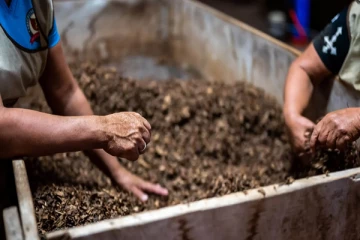 கழிவு தேயிலை தூளை எடுத்து செல்ல தடை விதிப்பு