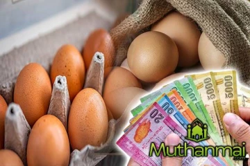 முட்டையின் விலை மீண்டும் அதிகரிப்பு