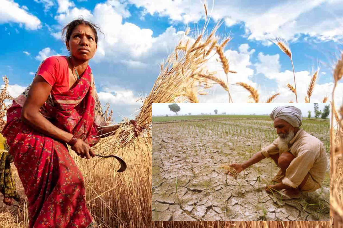 எல் நினோவால் இலங்கைக்கு ஆபத்து..! எச்சரிக்கும் யாழ். பல்கலை பேராசிரியர் பிரதீபராஜா | What Is El Ni O And What Are Its Effects In Sl