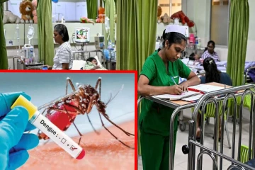 90 ஆயிரத்தைத் தாண்டிய டெங்கு நோயாளர் எண்ணிக்கை