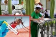 90 ஆயிரத்தைத் தாண்டிய டெங்கு நோயாளர் எண்ணிக்கை