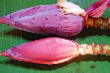 வாழைப்பூவில் அடங்கியிருக்கும் எண்ணற்ற பயன்கள்.. இதுக்கும் சாப்பிடலாமா?