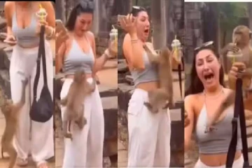 Viral Video: பெண்ணின் மீது ஏறிய குரங்கு முடிஞ்சா சிரிக்காமல் பாருங்க