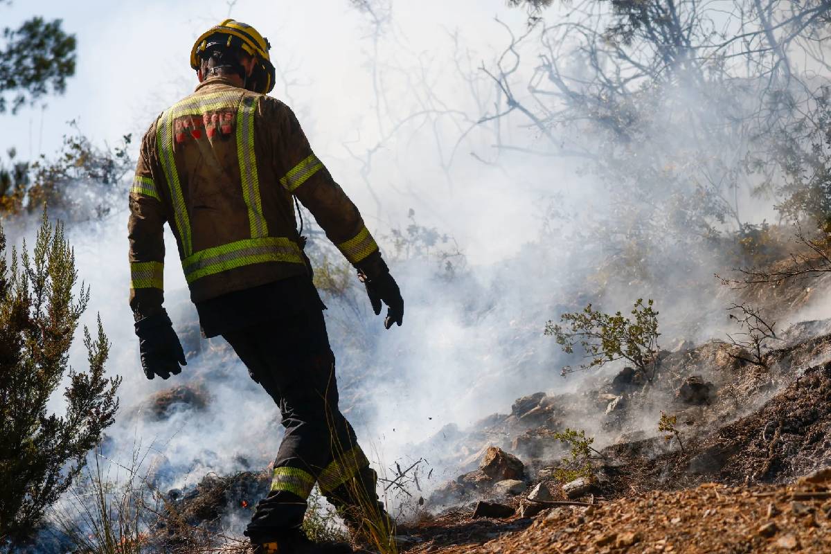 ஸ்பெயினில் கொடூர காட்டுத்தீ: 12 பேர் பலி - 19 பேர் மாயம் | Deadly Wildfires In Spain 12 Dead 19 Missing ஸ்பெயினில் கொடூர காட்டுத்தீ: 12 பேர் பலி - 19 பேர் மாயம் | Deadly Wildfires In Spain 12 Dead 19 Missing
