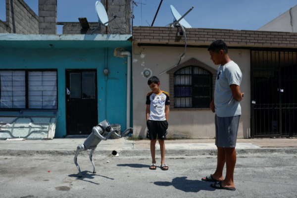 மெக்சிகோ தெருக்களில் ரோபோ நாய் மக்களுக்கு விழிப்புணர்வு | Robot Dog On The Streets Of Mexico Awareness Among