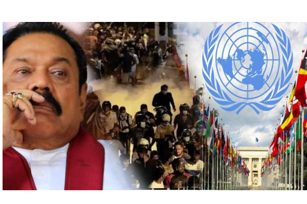 இலங்கையில் போராட்டத்தில் ஈடுபடும் மக்கள் மீது தாக்குதல் நடத்துவது சரி கிடையாது - ஐ.நா. எச்சரிக்கை - தமிழ்நாடு