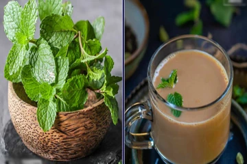 Daily ஒரு புதினா டீ குடித்து பாருங்க!