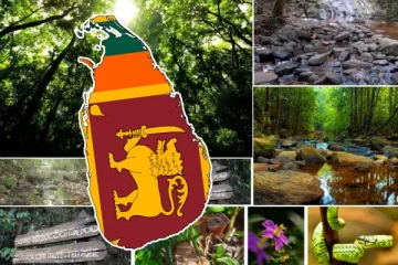 உலகின் சிறந்த சுற்றுலா தளமாக இலங்கை தெரிவு