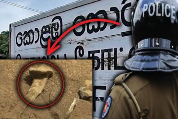 கொழும்பின் முக்கிய பகுதியில் மனித எலும்புக் கூடுகள் கண்டுபிடிப்பு