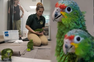 விமானப் பயணியின் பையிலிருந்து கேட்ட வித்தியாசமான சத்தம்: அதிகாரிகள் கண்ட வியப்பூட்டும் காட்சி