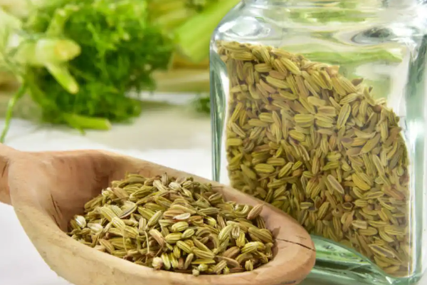 பாலில் கொஞ்சம் பெருஞ்சீரகம் சேர்ப்பதால் இத்தனை நன்மைகள் கிடைக்குமா? | Adding A Little Fennel To Milk பாலில் கொஞ்சம் பெருஞ்சீரகம் சேர்ப்பதால் இத்தனை நன்மைகள் கிடைக்குமா? | Adding A Little Fennel To Milk