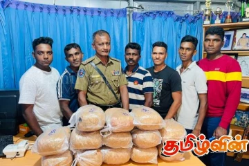 மன்னாரில் பல இலட்சம் ரூபா பெறுமதியான கேரள கஞ்சா பொதிகள் மீட்பு