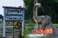 திருகோணமலையில் யானை அட்டகாசம் அதிகரிப்பு: மக்கள் விசனம்