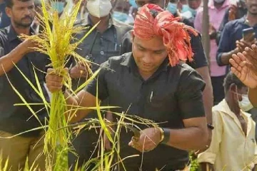 அறுவடையில் இறங்கிய வியாழேந்திரன்!