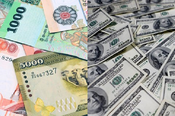 இலங்கையில் இன்று பதிவாகியுள்ள டொலரின் பெறுமதி! மத்திய வங்கி வெளியிட்ட அறிவித்தல் - ஐபிசி தமிழ்