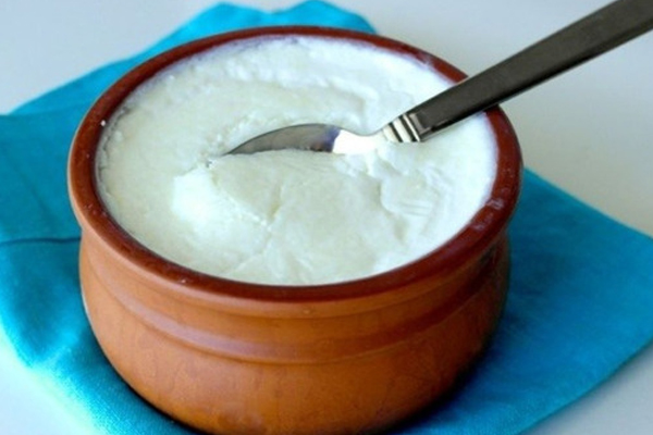 குளிர் காலத்தில் தயிர் சாப்பிடுவது நல்லதா? பலரது கேள்விக்கு பதில் இதோ | Winter Season Curd Eating Healthy Or Unhealthy குளிர் காலத்தில் தயிர் சாப்பிடுவது நல்லதா? பலரது கேள்விக்கு பதில் இதோ | Winter Season Curd Eating Healthy Or Unhealthy