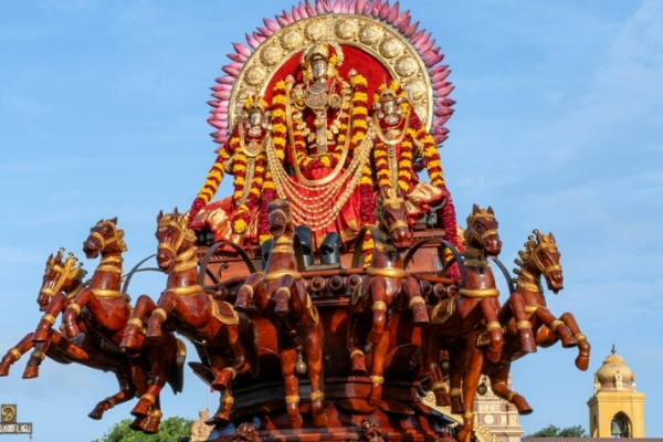ஏழு குதிரைகள் பூட்டிய ரதத்தில் சூர்யோற்சவம் ; பக்தர்களுக்கு காட்சி தந்த நல்லூர் கந்தன் | Nallur Kandaswamy Temple Soorasamharam
