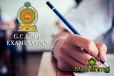 2029 சாதாரண தரப் பரீட்சை : புதிய பாடத்திட்டம்