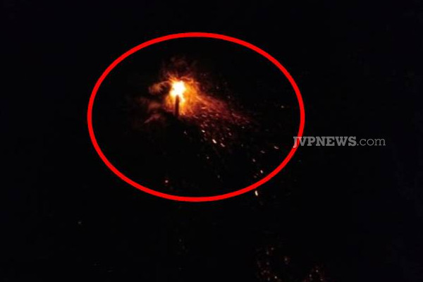 யாழ் இளவாலையில் தீயில் எரிந்த நாசமாகிய பனைகள்! | Palm Trees Destroyed By Fire In Jaffa Ilavalai