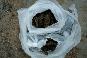 மட்டக்களப்பில் கேரளா கஞ்சாவுடன் இளைஞர் ஒருவர் கைது