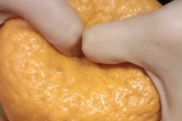 கர்ப்பமான ஆரஞ்சு...கிழித்து பார்த்த போது காத்திருந்த பேராச்சரியம்!  நம் கண்ணையே நம்ப முடியவில்லை...