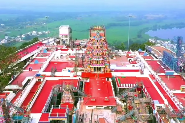 Thaipusam 2023 : விண்ணை முட்டிய அரோகரா கோஷம் : பழனியில் சாமி தரிசனம் செய்ய குவிந்த பக்தர்கள் | Palani Murugan Temple Thai Pusam Thaipusam 2023 : விண்ணை முட்டிய அரோகரா கோஷம் : பழனியில் சாமி தரிசனம் செய்ய குவிந்த பக்தர்கள் | Palani Murugan Temple Thai Pusam