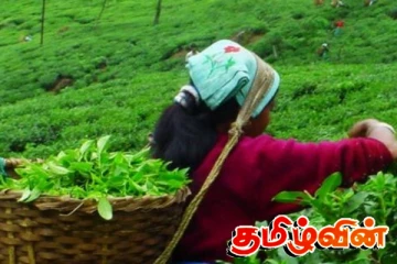 பெருந்தோட்டத் தொழிலாளர் சம்பள உயர்வு : மறு திகதி அறிவிக்கப்படாமல் பேச்சுவார்த்தை ஒத்திவைப்பு!