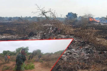 தப்போவ சரணாலயத்தில் தீ பரவல்! 250 ஏக்கர் நிலப்பரப்பு தீக்கிரை(Photos)