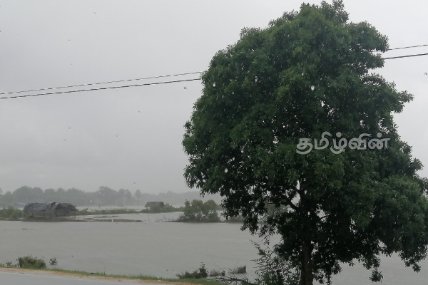 நீரில் மூழ்கிய கிண்ணியா உப்பளச் செய்கை நிலம்! | Kinniya Salt Pan Turned Into A Pond