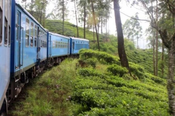 இலங்கை வந்த ஈரானிய சுற்றுலா பயணிக்கு ரயிலில் நேர்ந்த அதிர்ச்சி!