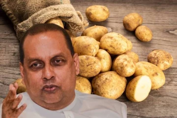 உருளைக்கிழங்கு இறக்குமதி தொடர்பில் விவசாய அமைச்சர் விடுத்துள்ள கோரிக்கை