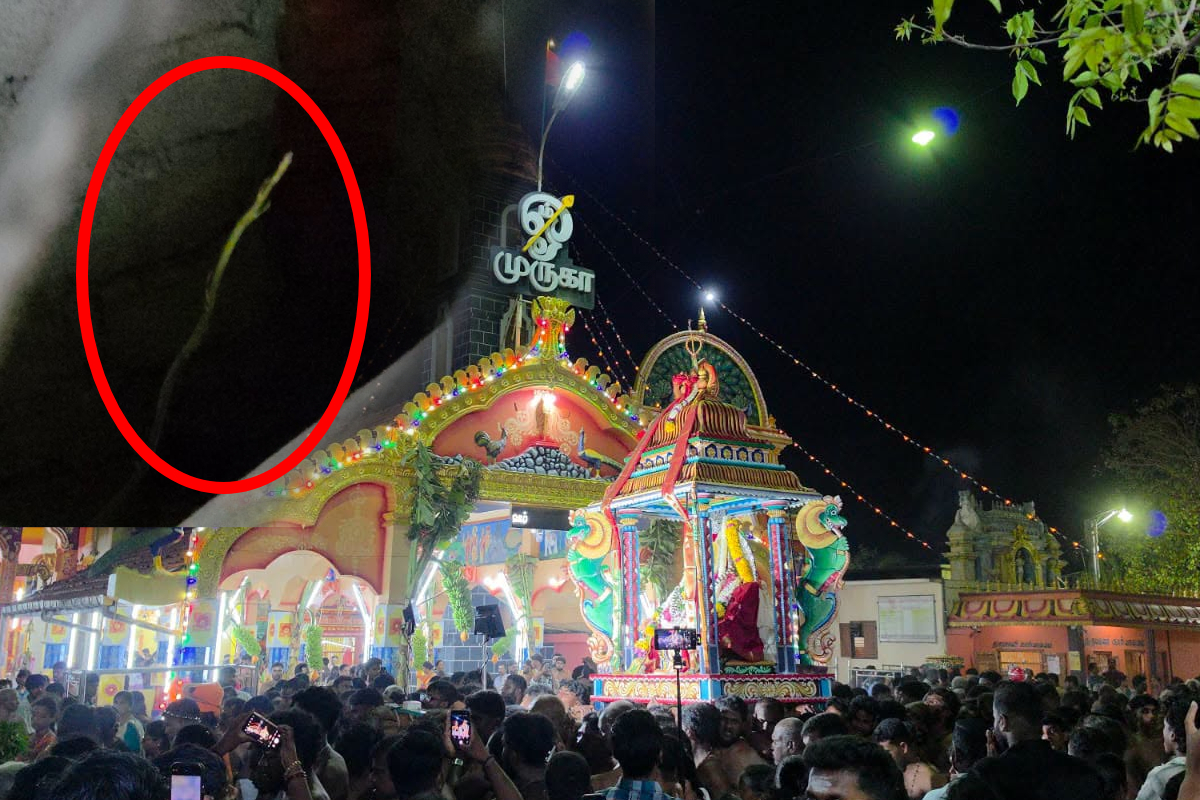 வரலாற்றுச் சிறப்புமிக்க தொண்டைமானாறு செல்வச்சந்நிதி முருகன் கொடியேற்றம்! | 2026 Selva Sannithi Murugan Temple Festival வரலாற்றுச் சிறப்புமிக்க தொண்டைமானாறு செல்வச்சந்நிதி முருகன் கொடியேற்றம்! | 2026 Selva Sannithi Murugan Temple Festival
