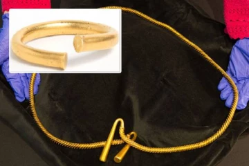 பிரித்தானிய அருங்காட்சியகத்தின் தங்க கலைப்பொருட்கள் திருட்டு: ஸ்கூட்டரில் தப்பித்த திருடர்கள்!