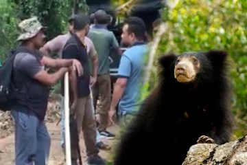 கரடி தாக்கியதில் ஐவர் காயம்; அச்சத்தில் மக்கள்