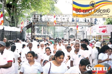 මහනුවර බෝ වන රෝග පැතිරීමේ අවදානමක…රෝගීන් පිරිසකුත් හමුවෙලා..