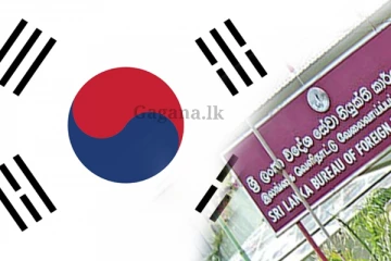 කොරියානු භාෂා විශේෂ පරීක්ෂණය ගැන දැනුම්දීමක්. 