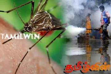 டெங்கு நோய் பரவல் அதிகரிப்பு!