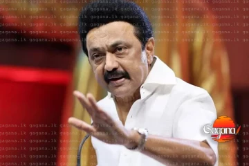 ශ්‍රී ලාංකික දෙමළයින්ට ඉන්දියාවේ පුරවැසිභාවය?