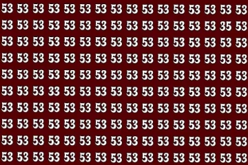 Optical Illusion: இந்த படத்தில் 33 மற்றும் 35 என்ற இரண்டு வித்தியாச இலக்கங்கள் எங்கே உள்ளது?