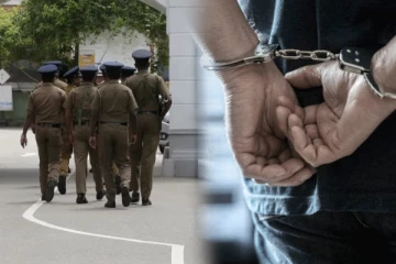 விசேட சோதனை நடவடிக்கையின் கீழ் 733 பேர் கைது