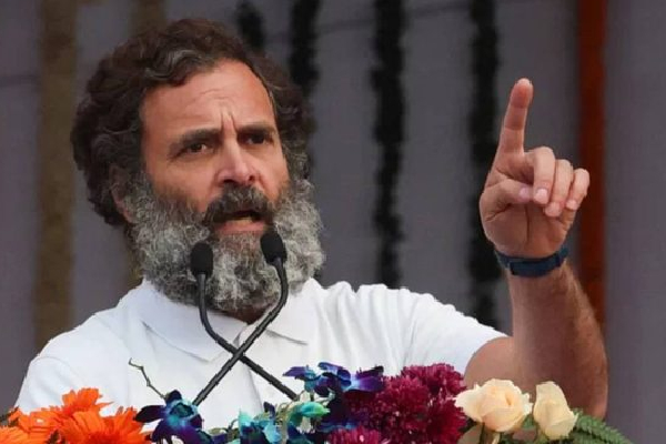 காங். வெற்றிபெற்றால் மீனவர்களுக்கு ரூ 10 லட்சம் : ராகுல்காந்தி அறிவிப்பு | Rahul Gandhi Said Free Bus Women Rs 10 Lakh காங். வெற்றிபெற்றால் மீனவர்களுக்கு ரூ 10 லட்சம் : ராகுல்காந்தி அறிவிப்பு | Rahul Gandhi Said Free Bus Women Rs 10 Lakh