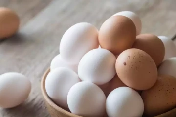 அமெரிக்காவில் கடும் முட்டை தட்டுப்பாடு: ஐரோப்பாவில் அவசரத் தேடல்!