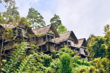 வெளிநாட்டு சுற்றுலாப் பயணி இலங்கையில் மரணம்