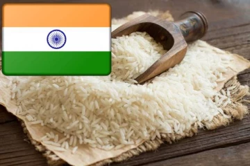 சர்வதேச சந்தையில் இந்தியாவின் பாஸ்மதி அரிசி ஏற்றுமதி சரிவு.., பின்னணியில் இருக்கும் காரணம்
