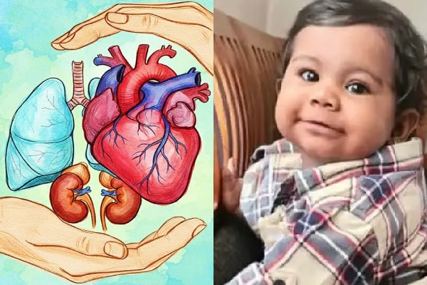 10 மாத குழந்தையின் உடல் உறுப்புகள் தானம்: நெகிழ்ச்சி சம்பவம் | Kerala 10 Month Old Baby Girl Organs Donates 10 மாத குழந்தையின் உடல் உறுப்புகள் தானம்: நெகிழ்ச்சி சம்பவம் | Kerala 10 Month Old Baby Girl Organs Donates
