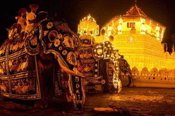 34 ஆண்டுகளுக்குப் பிறகு நடைபெறவுள்ள பெரஹெரா!